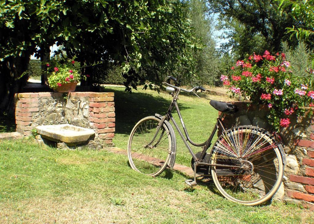 Agriturismo Il Sole Verde Bucine Exterior foto